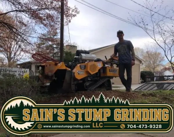 Adam Sain Owner of Sain's Stump Grinding LLC in Lincolnton NC