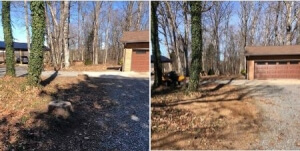 Stump Removal