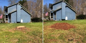 Mulching