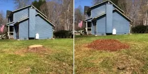 Photo of completed Mulching project