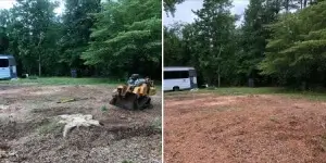 Photo of completed Root Removal project