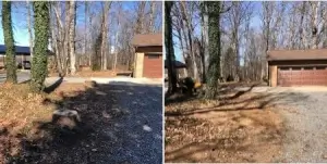 Photo of completed Stump Removal project